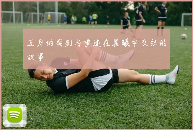 五月的离别与重逢在晨曦中交织的故事